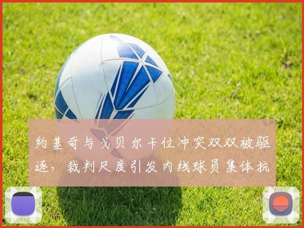 约基奇与戈贝尔卡位冲突双双被驱逐，裁判尺度引发内线球员集体抗议