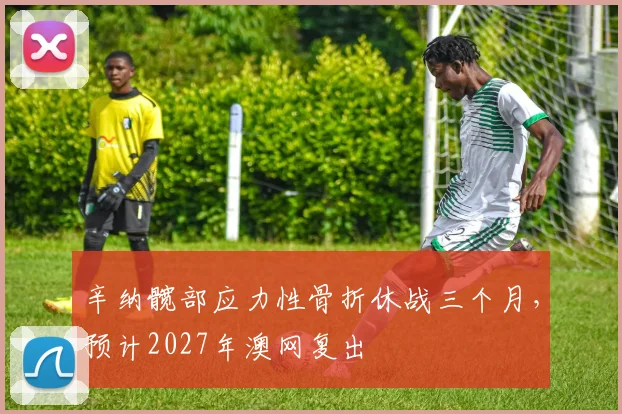 辛纳髋部应力性骨折休战三个月,预计2027年澳网复出